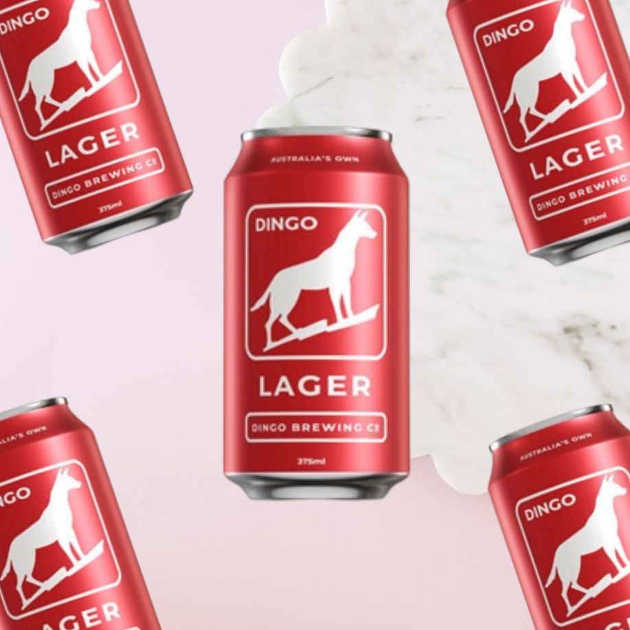 Dingo Brewing Lager